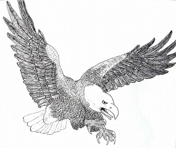 Eagle2.jpg