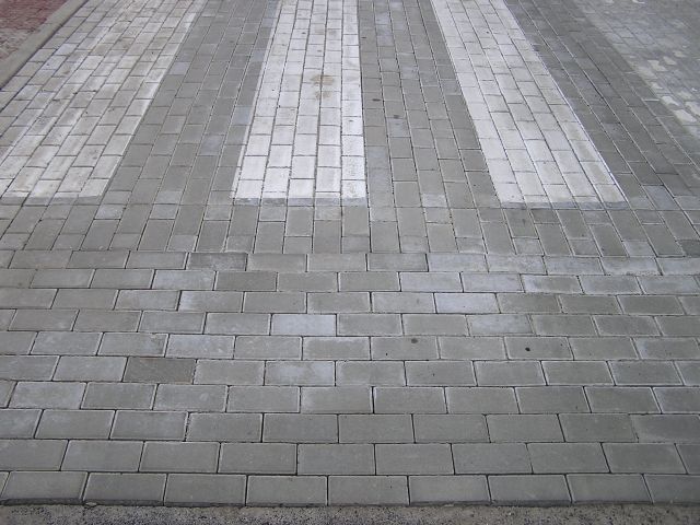 P1010020.JPG