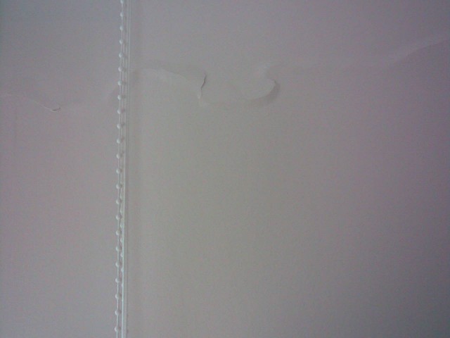 09112008.jpg