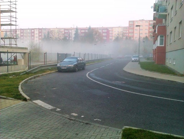 IMAG0119.jpg