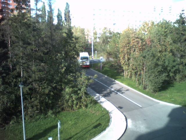 NZM_Bus-2.jpg