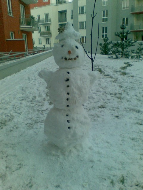 sněhulák2.JPG