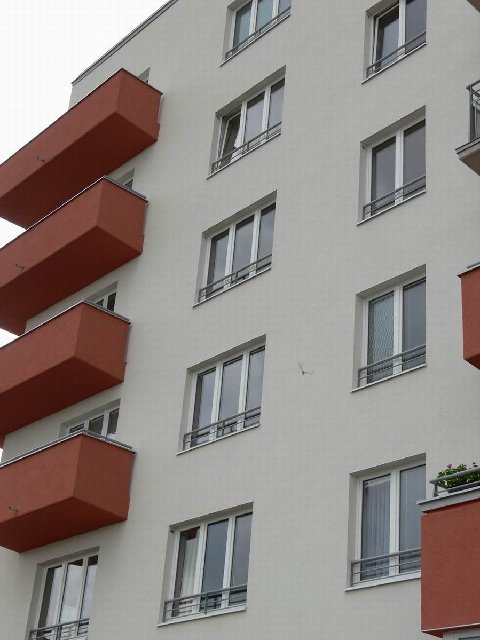 ZměnitP1010983.JPG